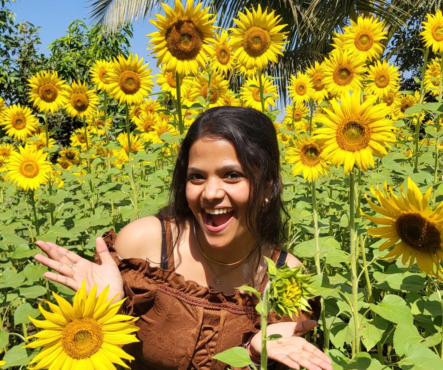 🌻 Sunflower Farm Visit & Riverside Hike - Slide 1