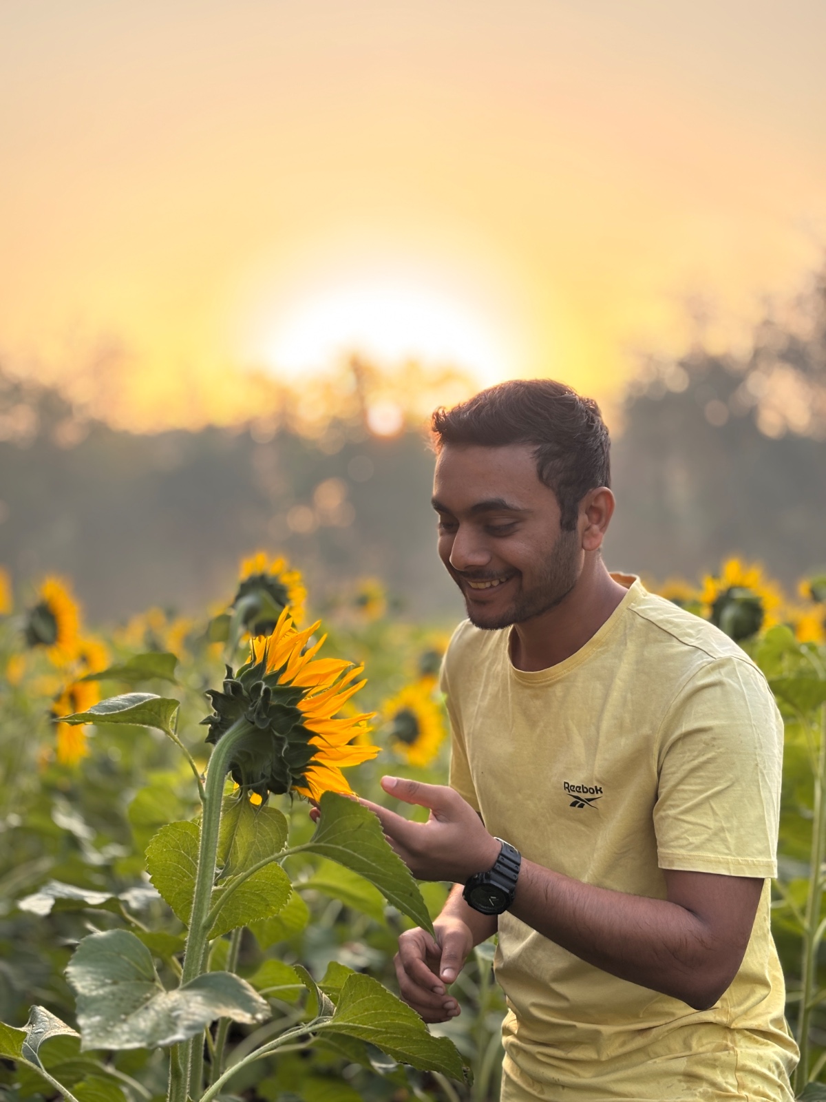 🌻 Sunflower Farm Visit & Riverside Hike - Slide 2